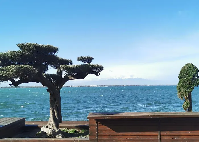 Appartement Cosy Sur La Presqu\'Ile De Cap Coudalere Avec Piscine Ouverte Et Chauffee